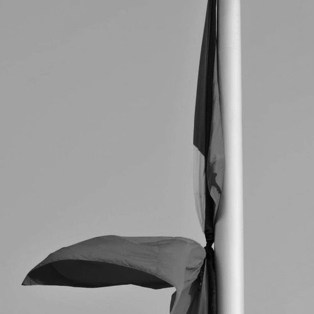 gửi lời chia buồn, tri ân, chia sẻ ký ức về Tổng bí thư Nguyễn Phú Trọng trên ứng dụng VNeID thông qua tính năng sổ tang điện tử.&nbsp;