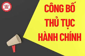 Công bố Bộ chỉ số phục vụ người dân, doanh nghiệp trong thực hiện thủ tục hành chính, dịch vụ công theo thời gian thực Qúy III năm 2024