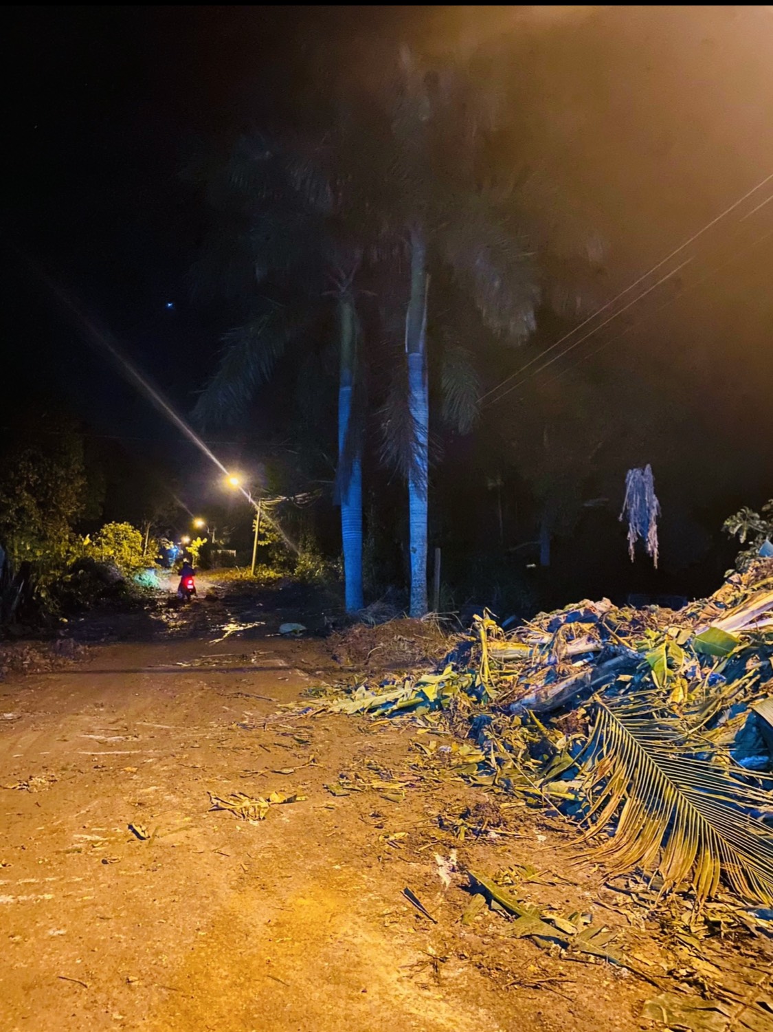 z4772642457304_e81d1a41745a8d66dbd2ddf59f73648a