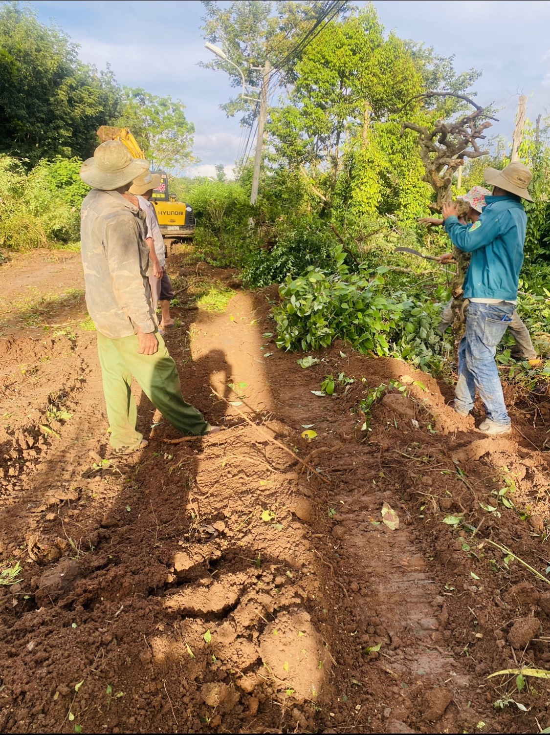 z4772642470789_1b0f6b25de37f616c0d39ab2b8de5b8e