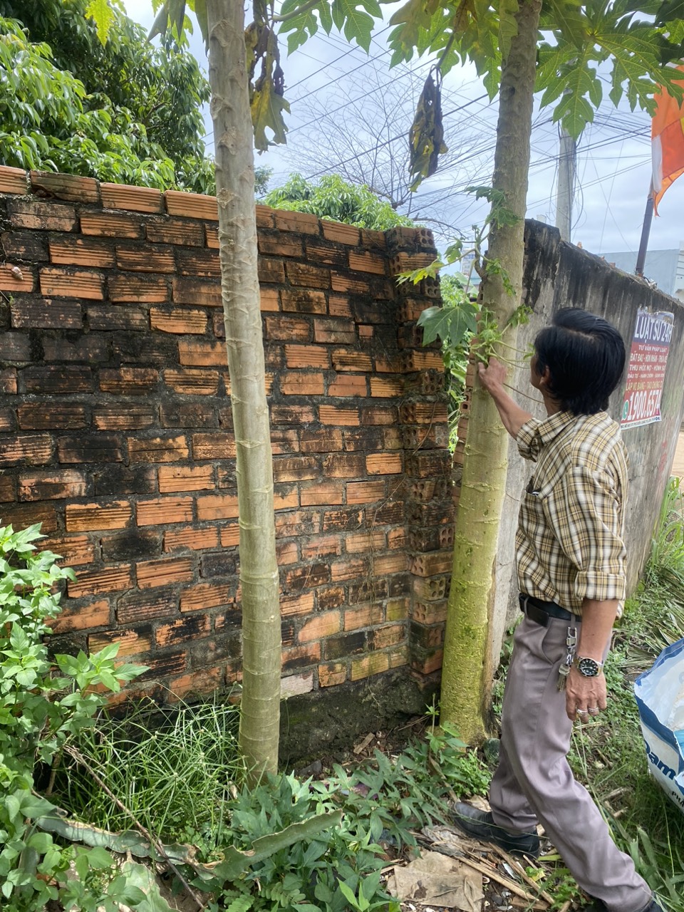 z4772642843683_e8612086db0782a0cc143ef75b36d688