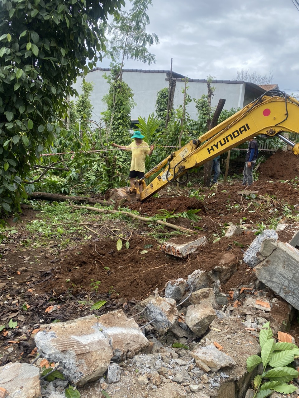 z4772643002847_01ae96e04da9d110935f1d7ec00cb3aa